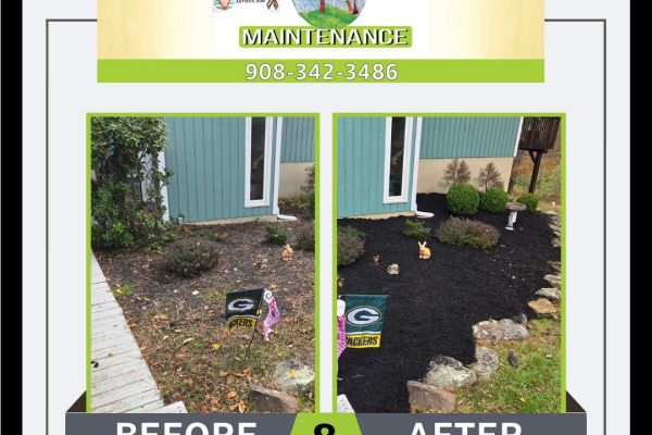 solano-lawn-maintenance-beforeafter-landscaping-bed-10302025536C0D9B-9D1F-BB5D-42F4-0788A41C5530.jpg